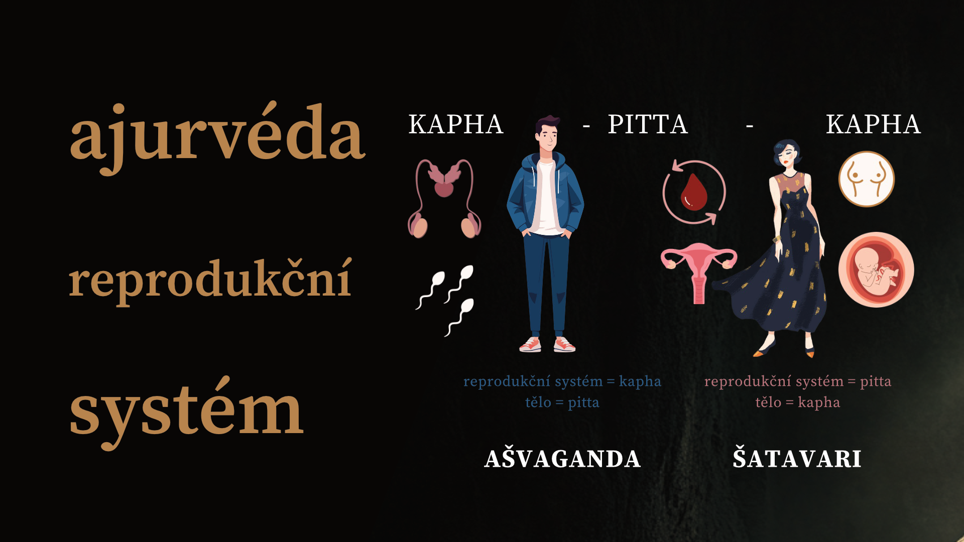 PRAKTICKÁ AJURVÉDA: dóši a reprodukční systém