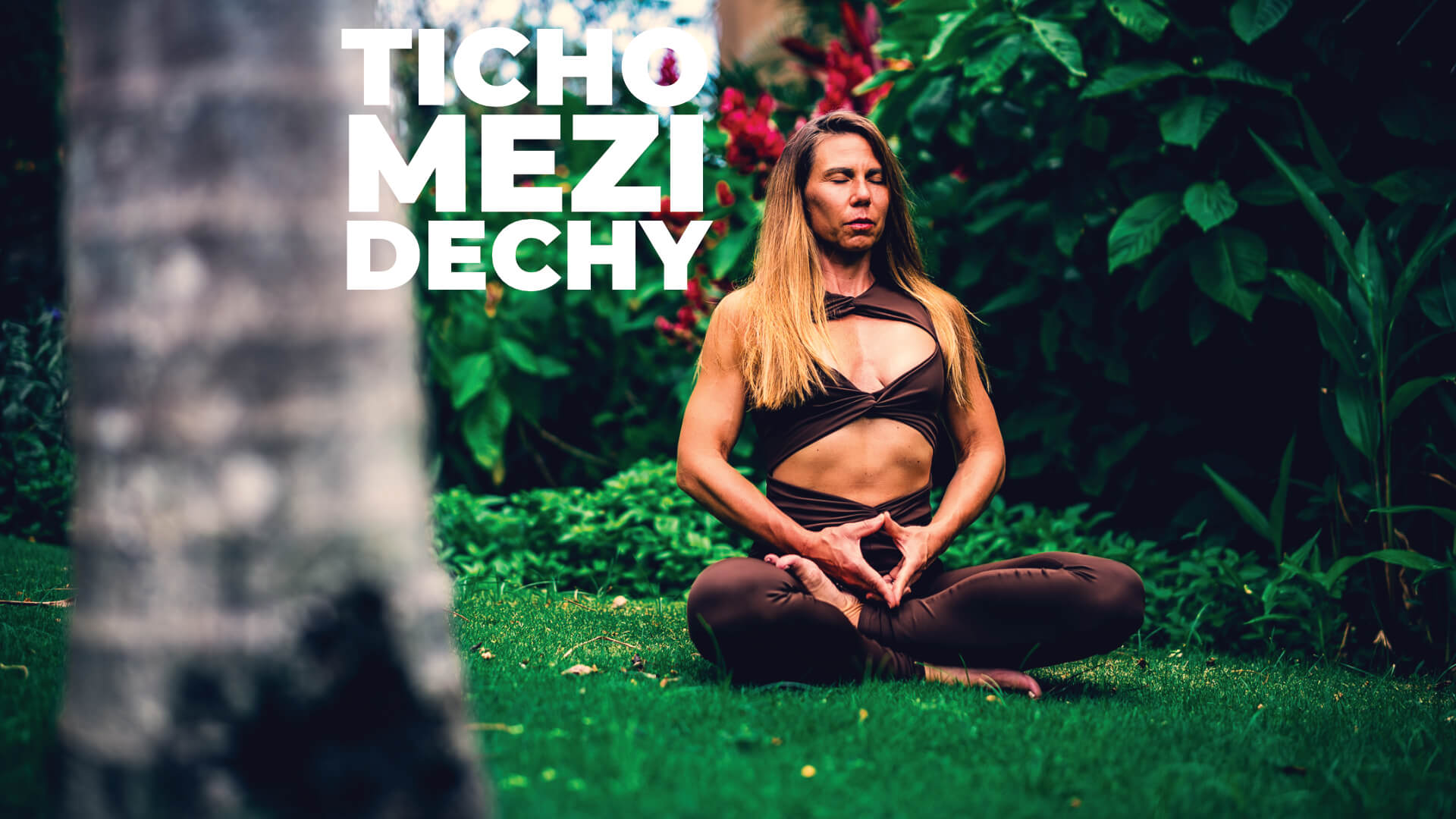 Meditace ticho mezi dechy, kurz umění meditace.