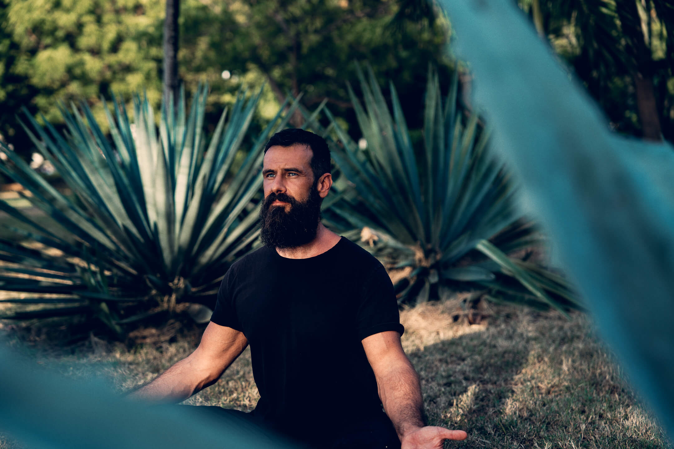 Daniel Paulus, meditace, relaxace, kontemplace