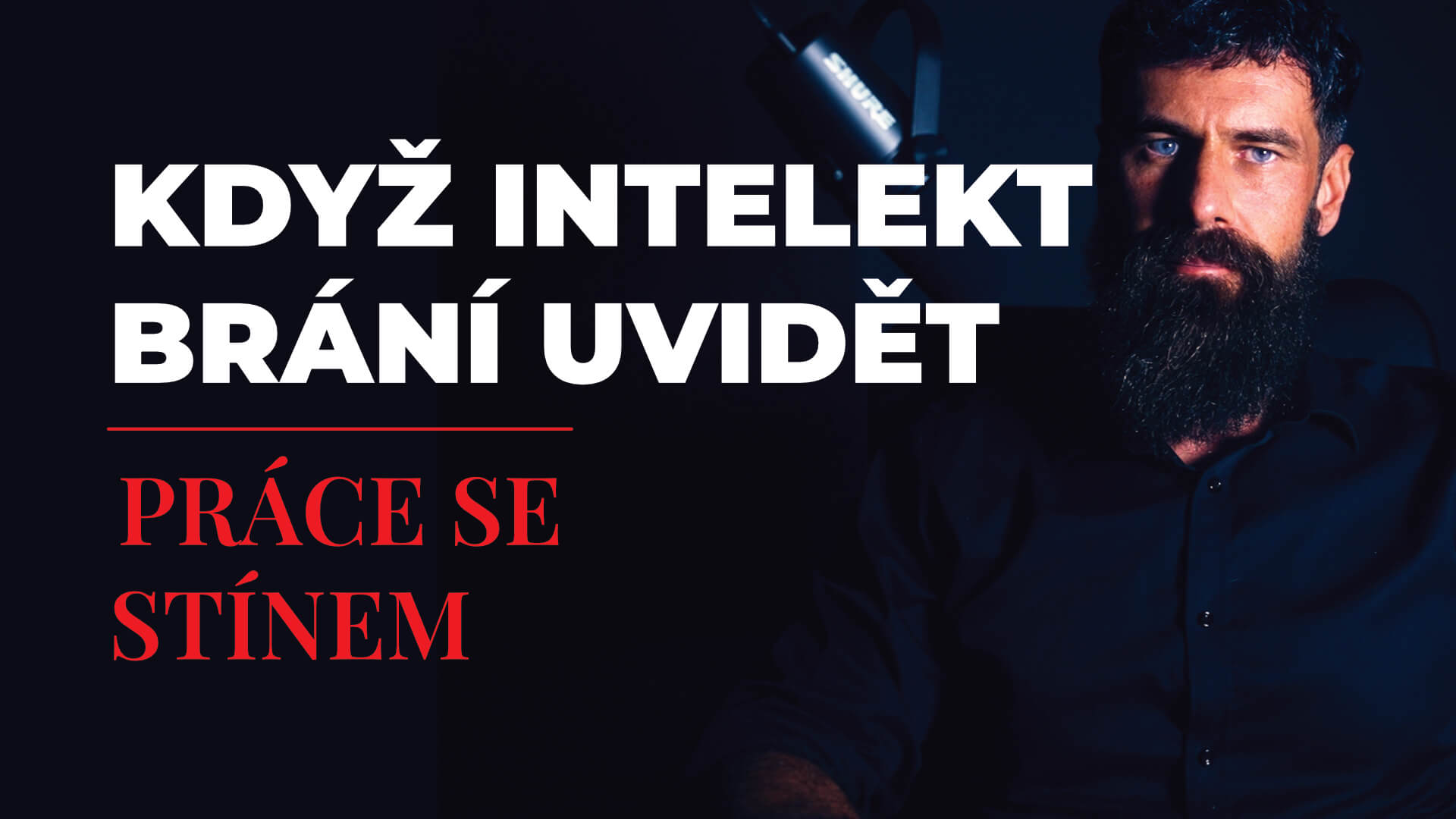 SOL NIGER: Proč mužský intelekt brání skutečné práci se stínem