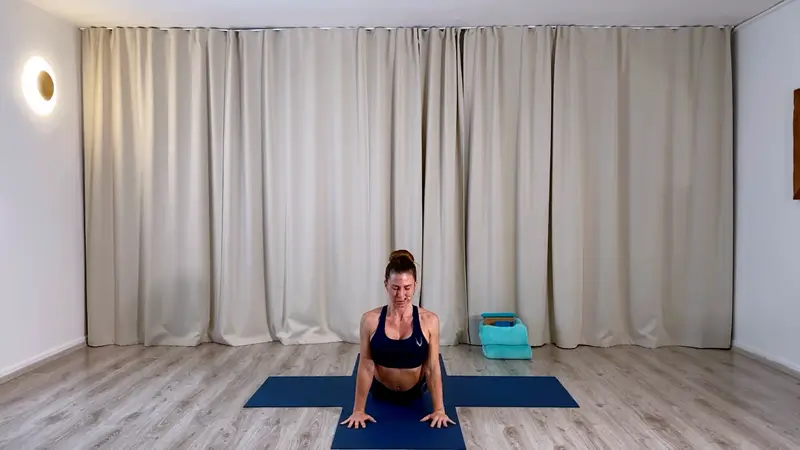 Jóga, ásána, meditace