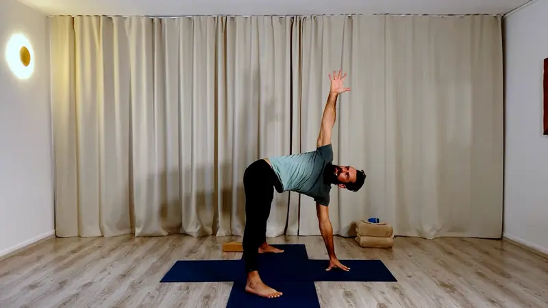 Jóga, ásána, meditace