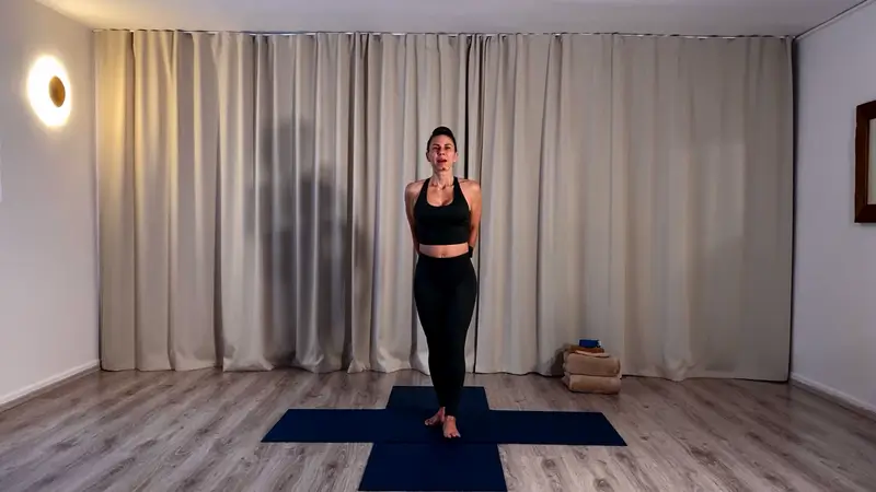 Jóga, ásána, meditace