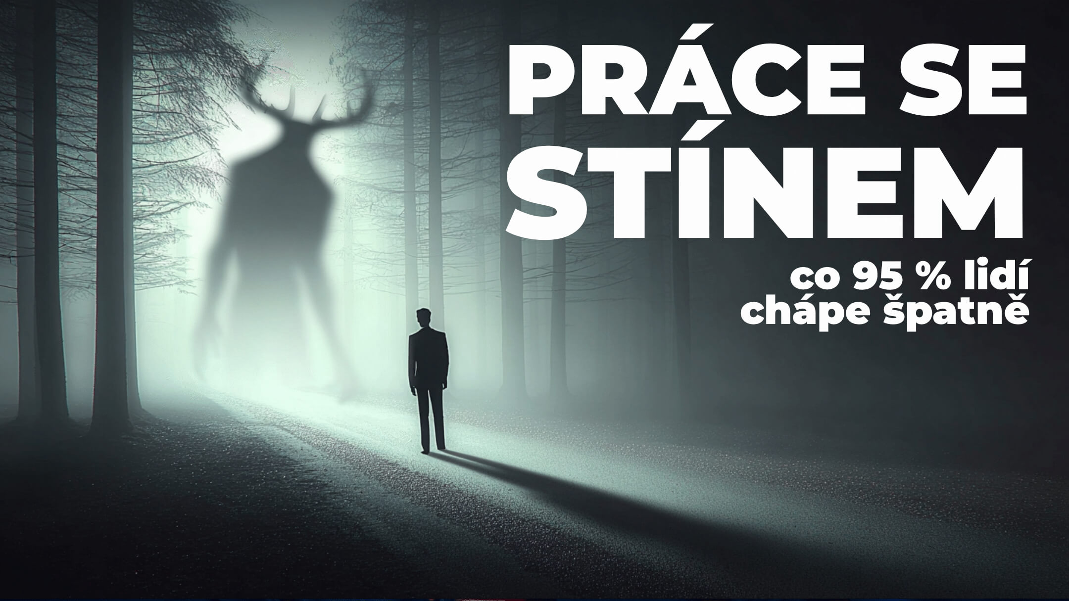 Práce se stínem Daniel Paulus